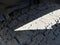 2021 Jeep Wrangler Unlimited Unlimited Sahara