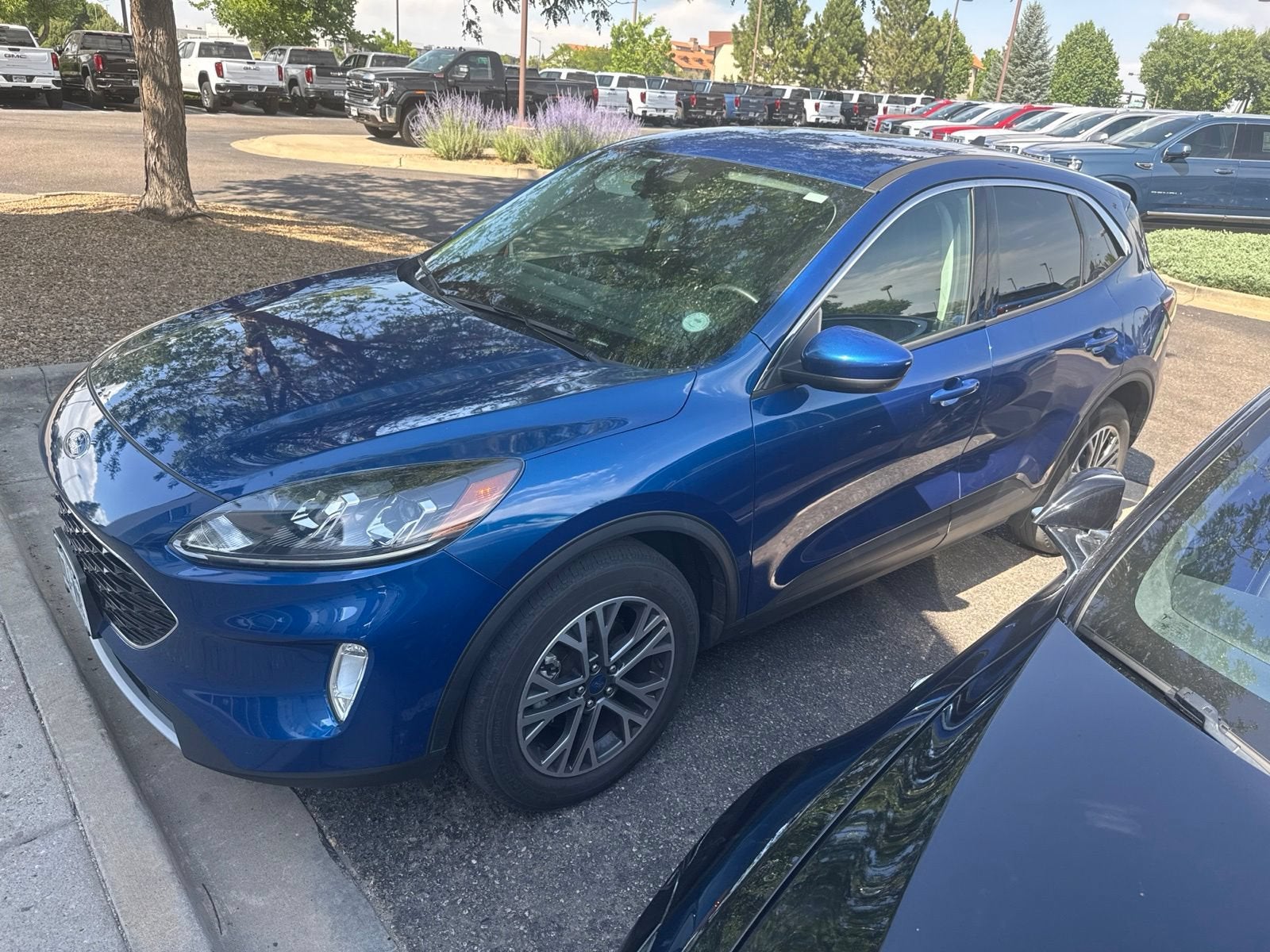 2022 Ford Escape SEL