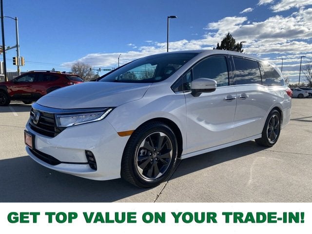 2024 Honda Odyssey Elite