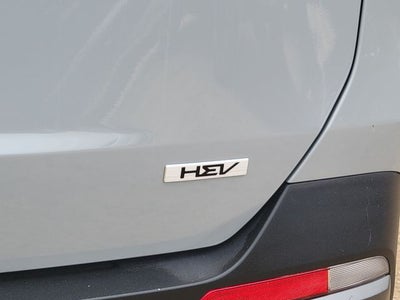 2025 Kia Carnival Hybrid SX Prestige